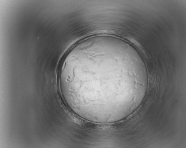 X0000063470886200602031857