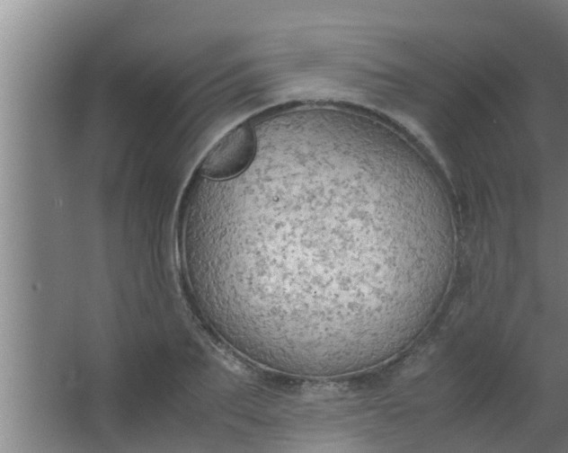 X0000063470887200602031857