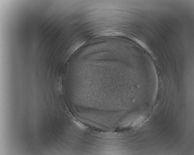 X0000063470889200602031857