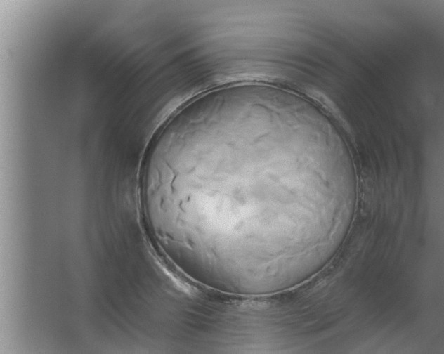 X0000063470890200602031857