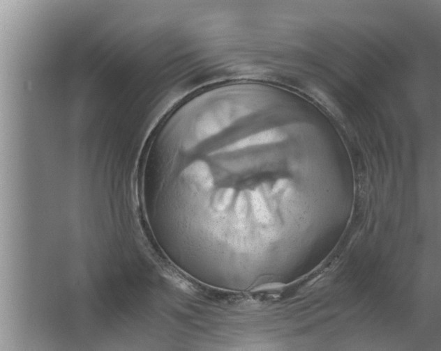 X0000063470891200602031857