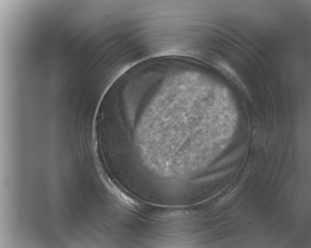 X0000063470892200602031857