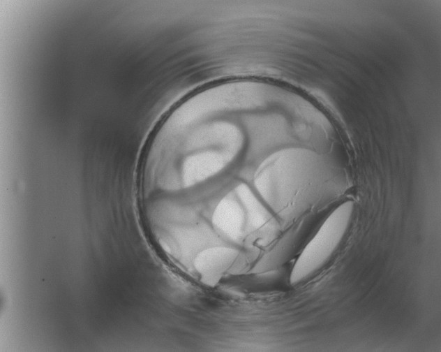 X0000063470895200602031857