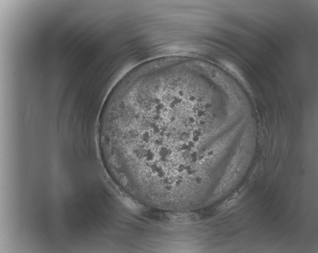 X0000063470899200602031856