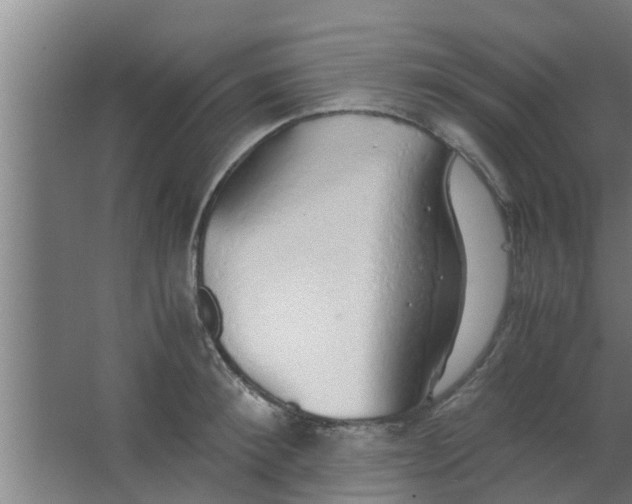 X0000063470900200602031856