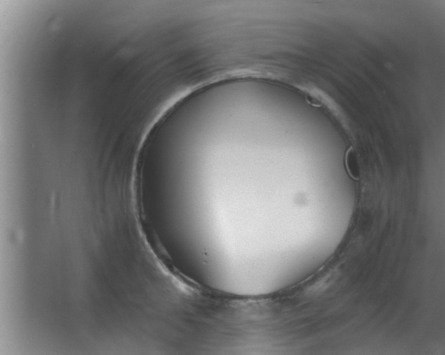 X0000063470902200602031856