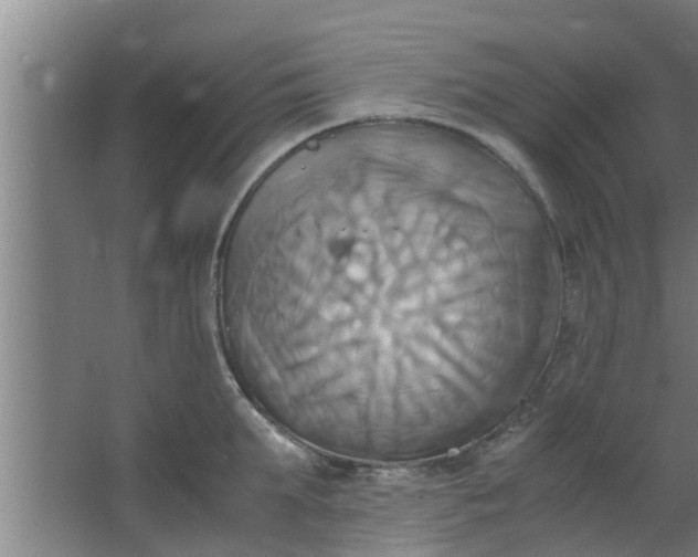 X0000063470903200602031856