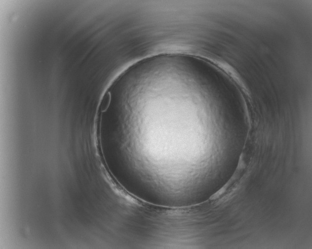 X0000063470904200602031856