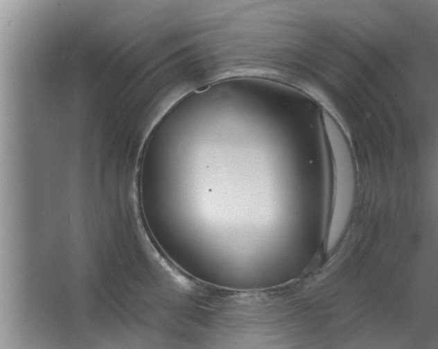 X0000063470906200602031856