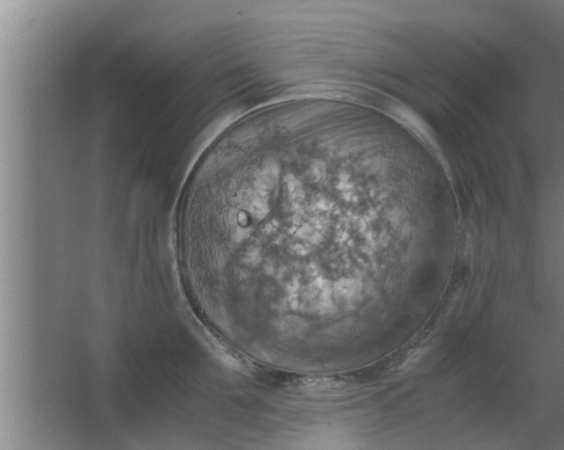 X0000063470907200602031856