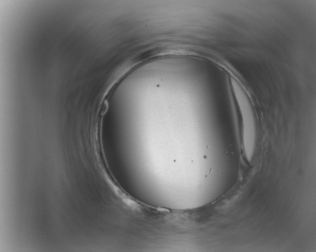 X0000063470909200602031856