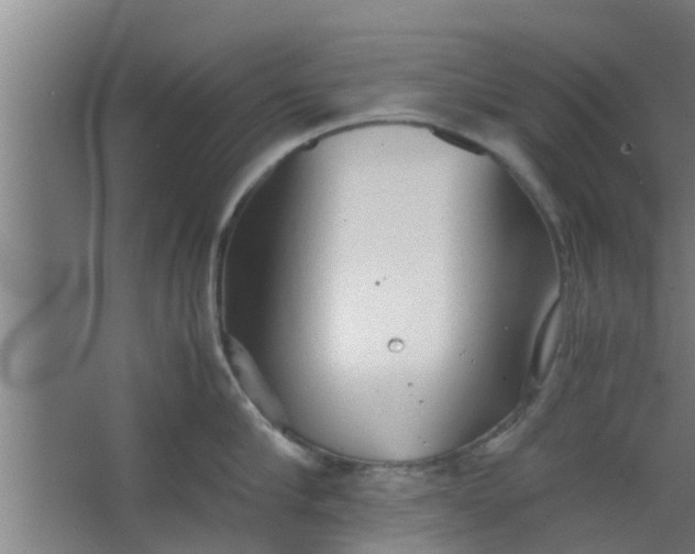 X0000063470910200602031856