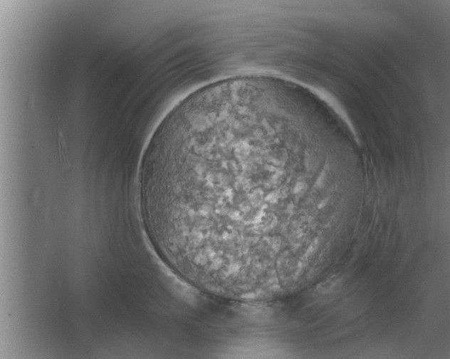 X0000063470911200602031856