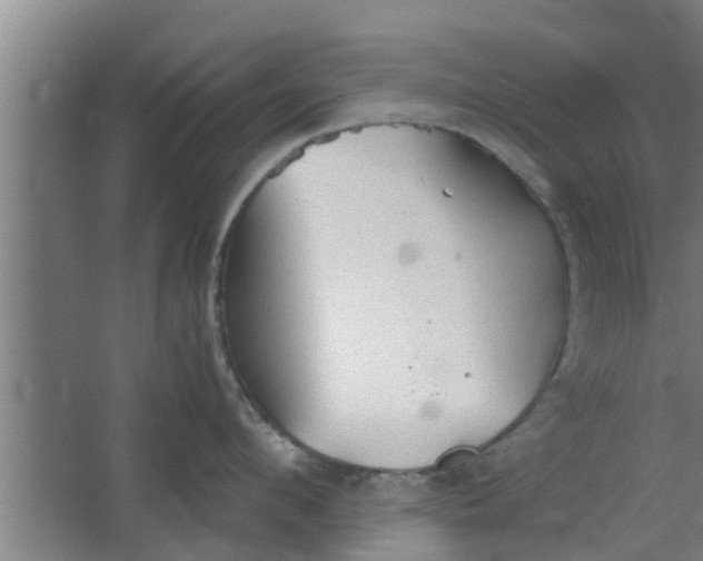 X0000063470912200602031856