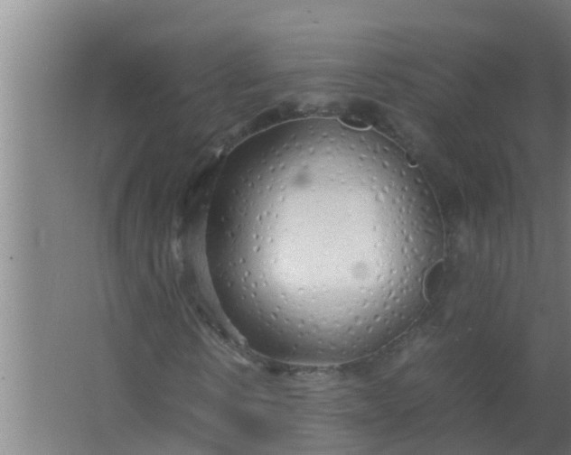 X0000063470914200602031855