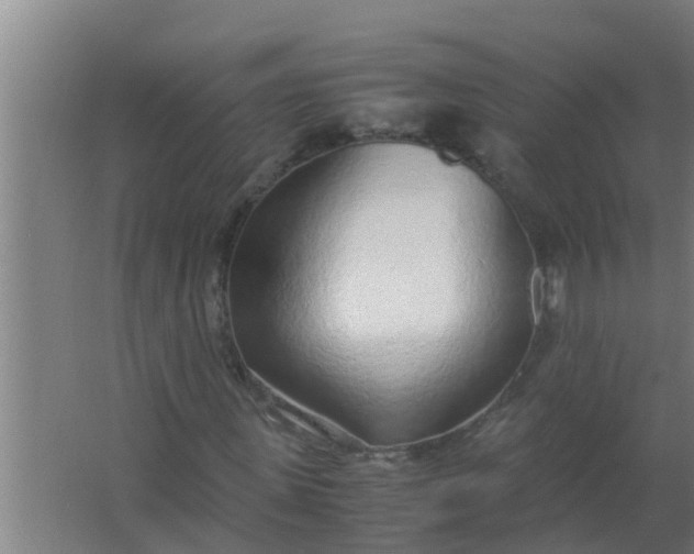 X0000063470915200602031855