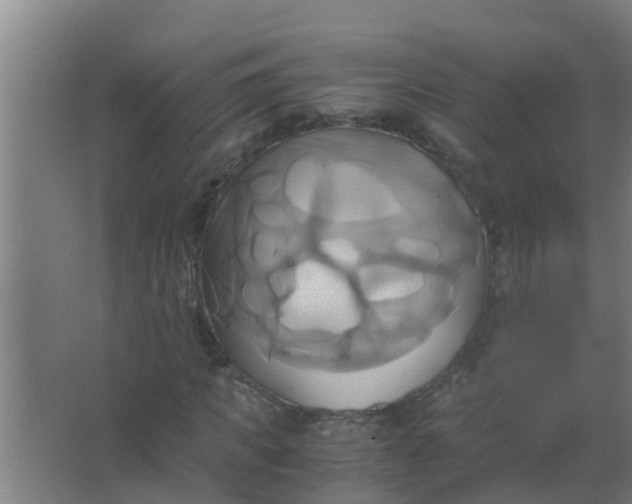 X0000063470917200602031856