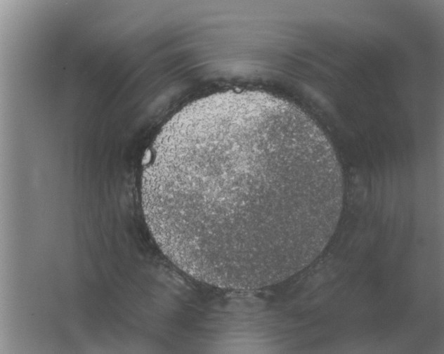 X0000063470918200602031856