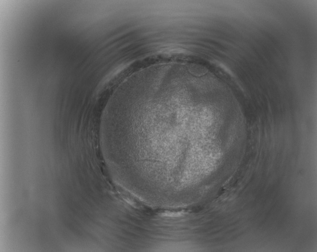 X0000063470919200602031856