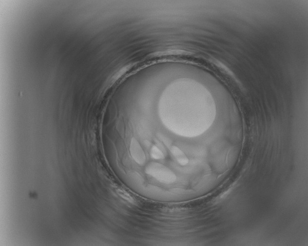 X0000063470921200602031856