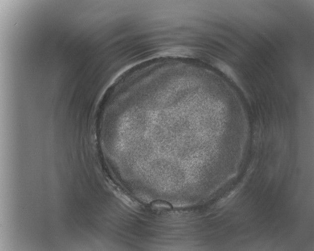 X0000063470923200602031856