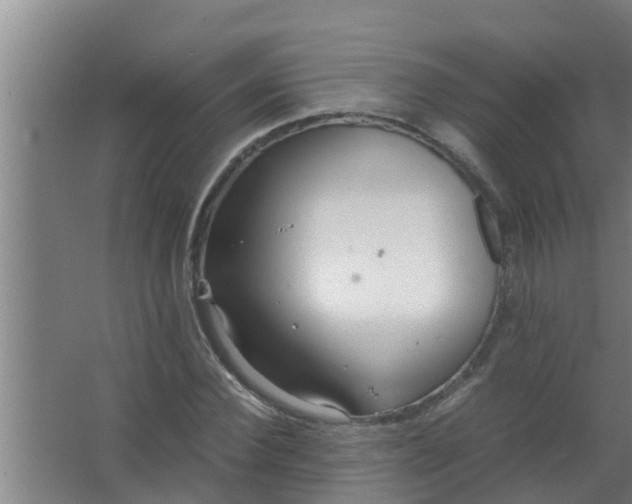 X0000063470924200602031856