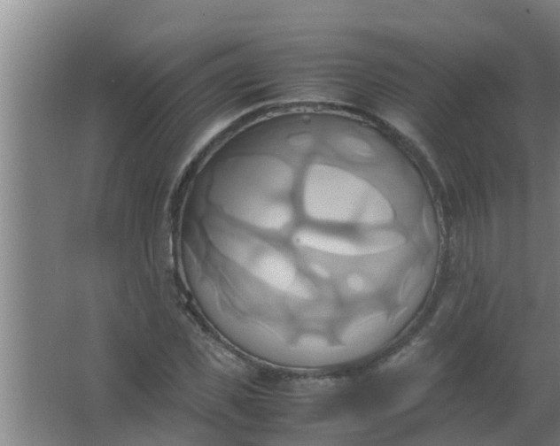 X0000063470925200602031856