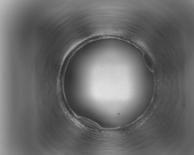 X0000063470928200602031856