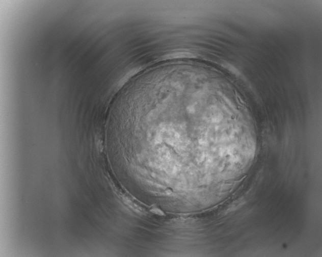 X0000063470929200602031856