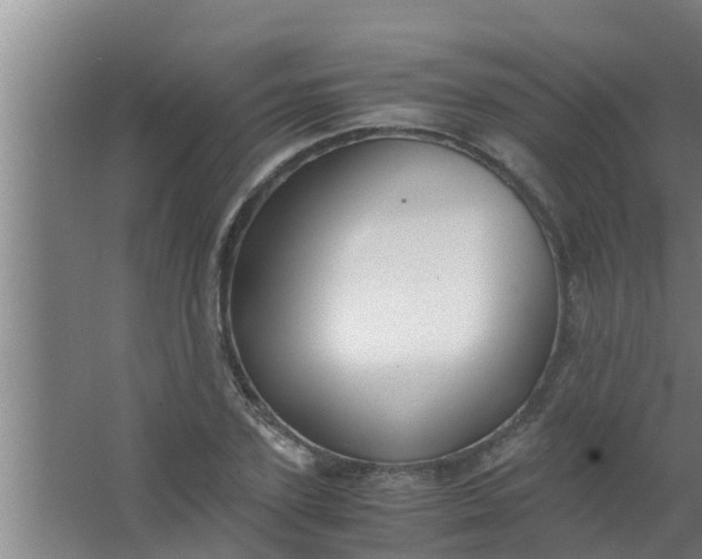 X0000063470931200602031856