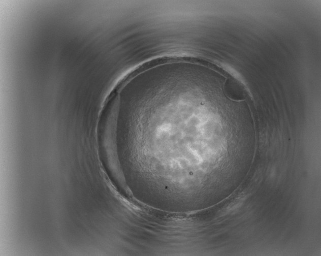 X0000063470935200602031856