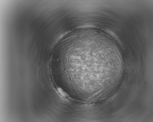 X0000063470937200602031856