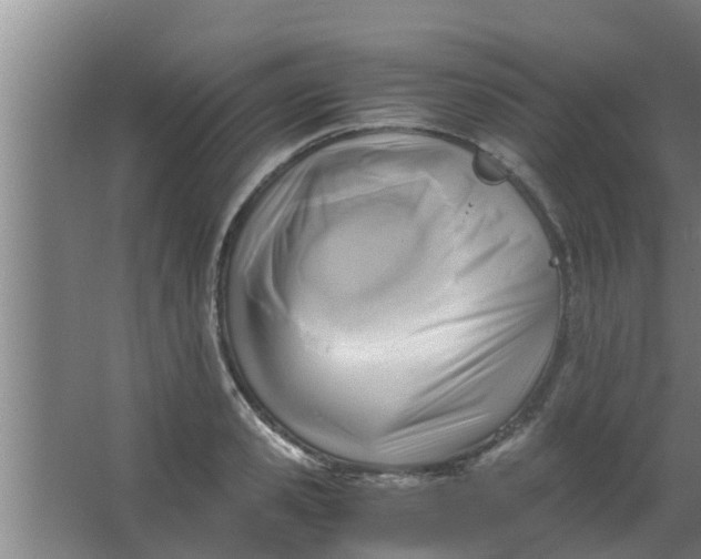 X0000063470941200602031856