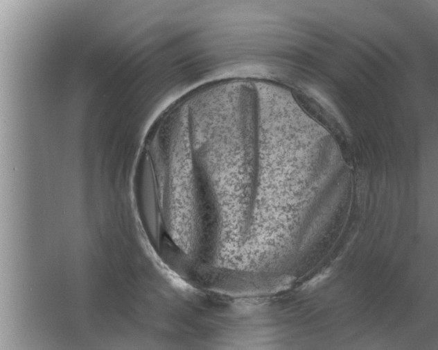 X0000063470944200602031856