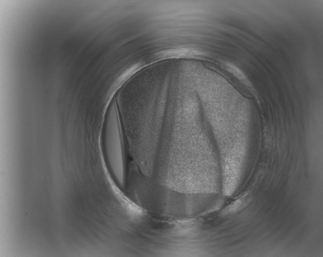 X0000063470946200602031856