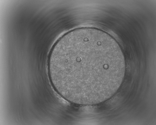 X0000063470950200602031856