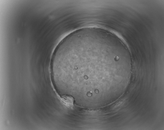 X0000063470951200602031856