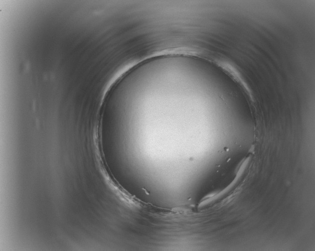 X0000063470952200602031856