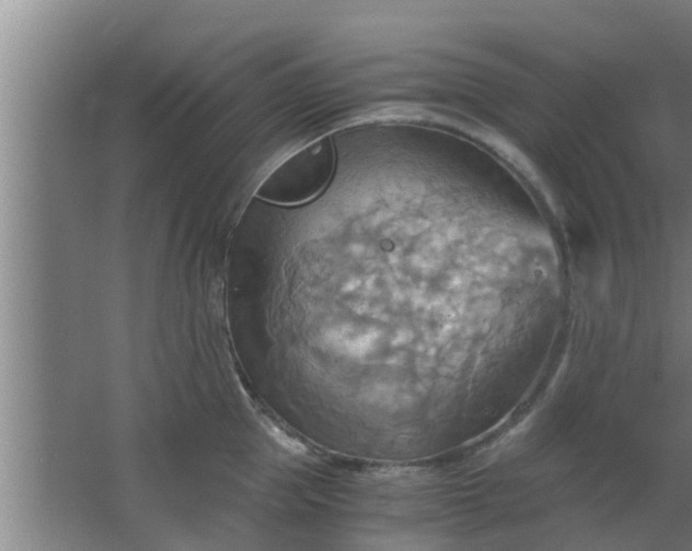 X0000063470953200602031856