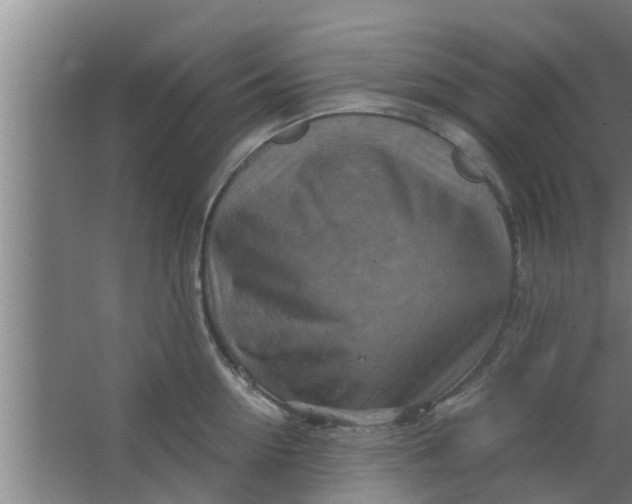 X0000063470954200602031856