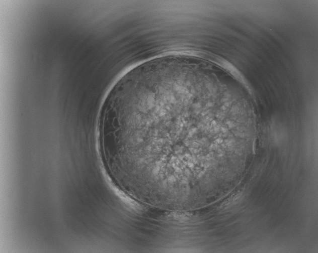 X0000063470955200602031856