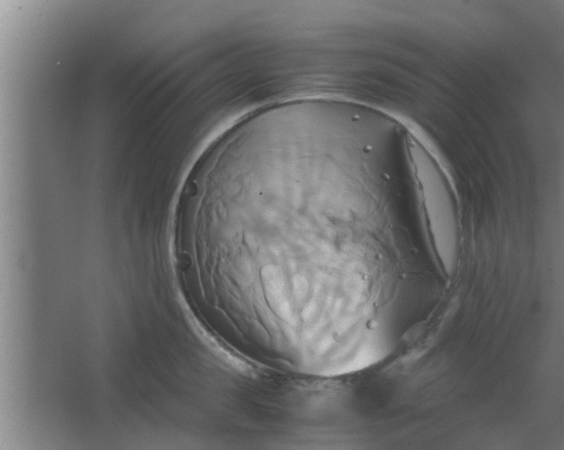 X0000063470957200602031856