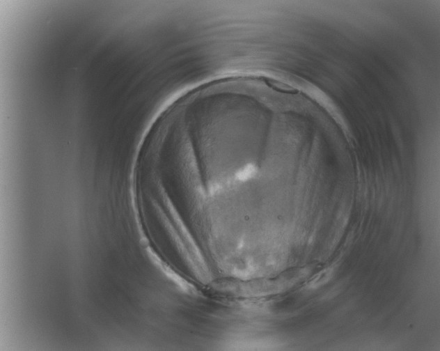 X0000063470958200602031856