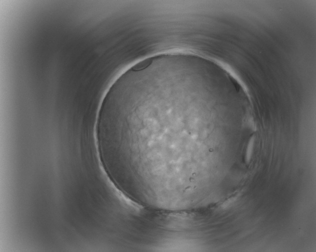 X0000063470959200602031856