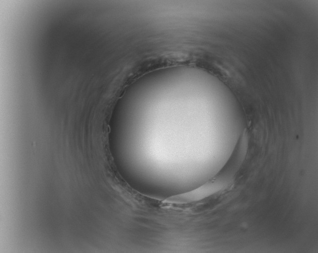 X0000063470961200602031855