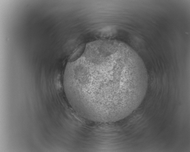 X0000063470962200602031855