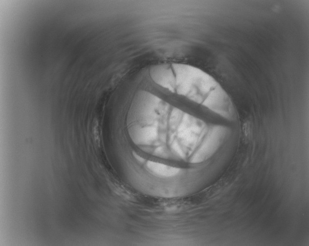 X0000063470963200602031855