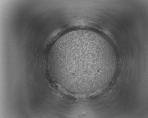 X0000063470967200602031855