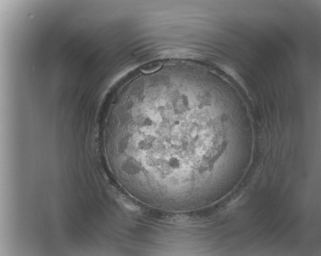 X0000063470971200602031855