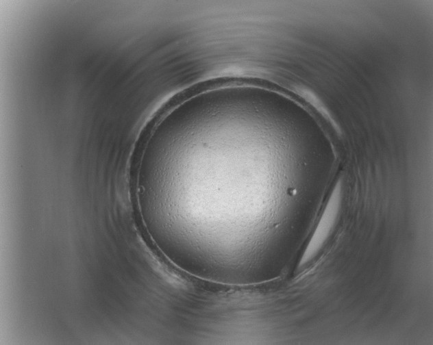 X0000063470972200602031855